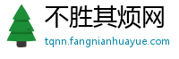 不胜其烦网